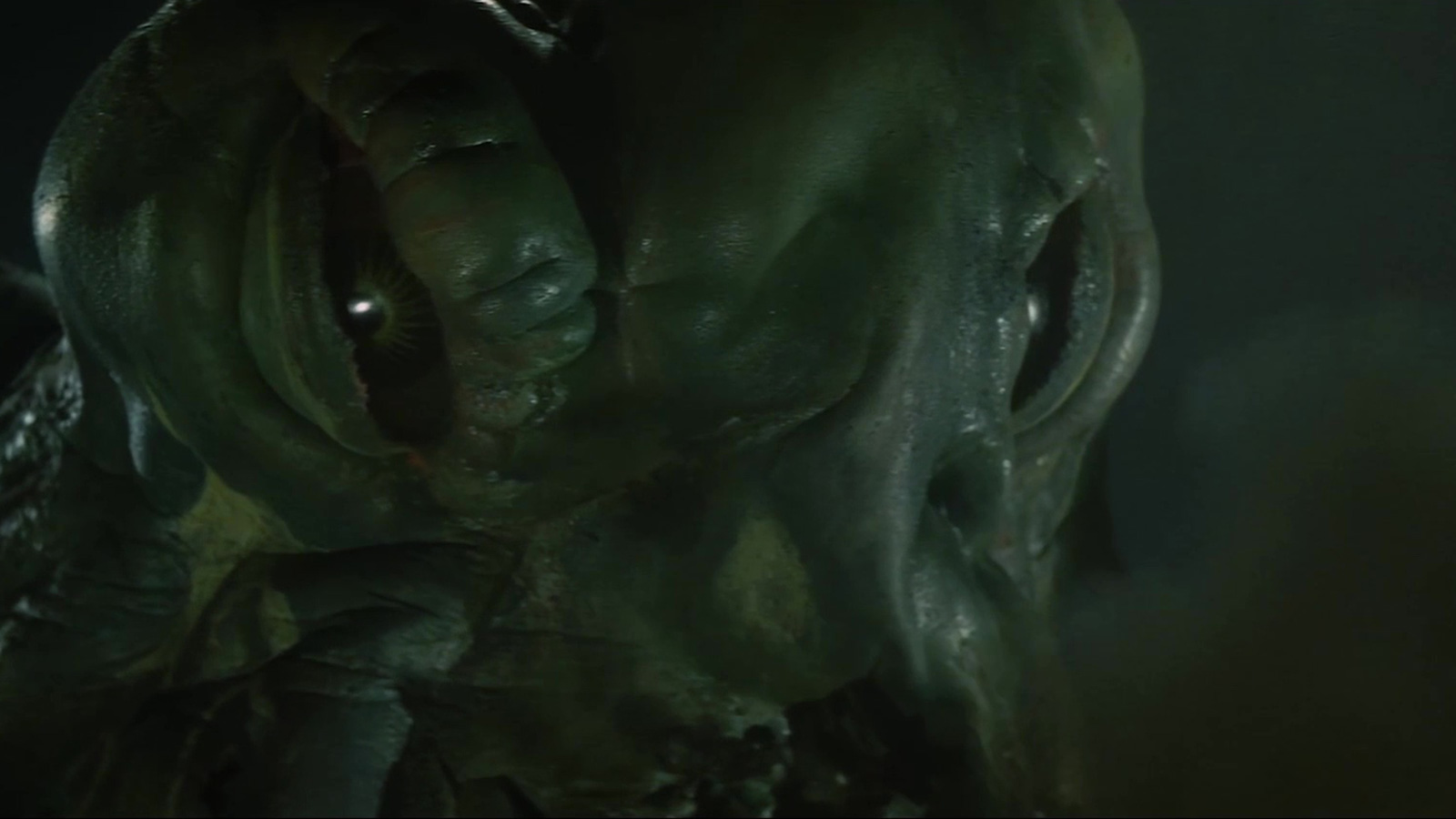 To Welcome a Toadfish — excerpt